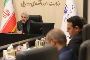 علی مدنیزاده: واگذاری فعالیتهای اقتصادی به بخش خصوصی، اولویت اصلی