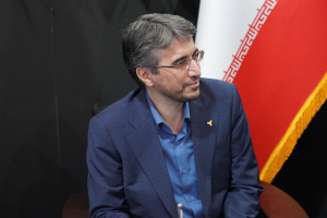 علی نبوی، مدیرعامل سرمایه‌گذاری گروه توسعه ملی (وبانک) شد